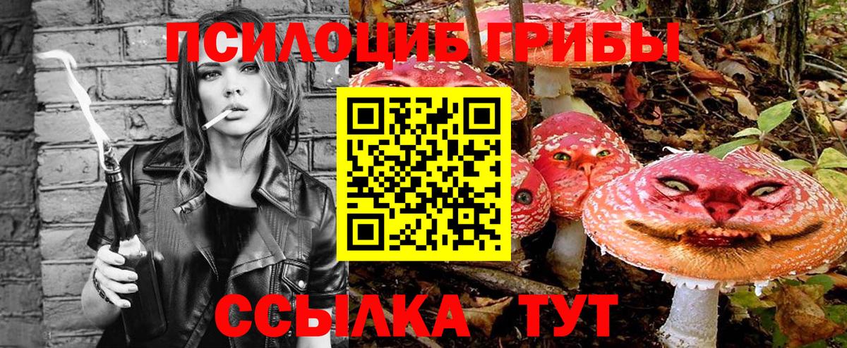 Псилоцибиновые грибы Magic Shrooms Ржев